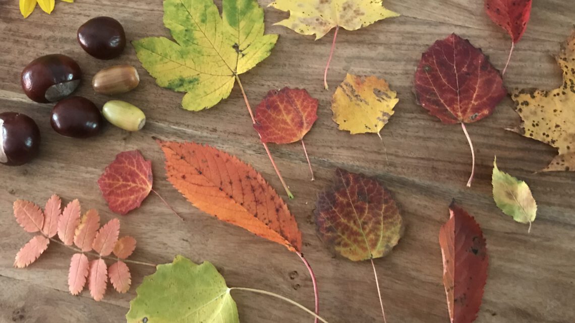 Die schönsten Herbst-Aktivitäten mit Kindern